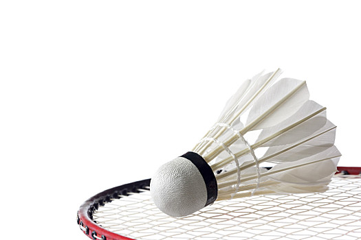 保护不足的 保护不足的