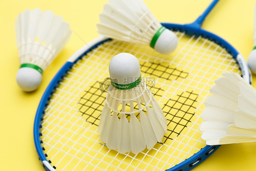 队长的不仅 队长的不仅